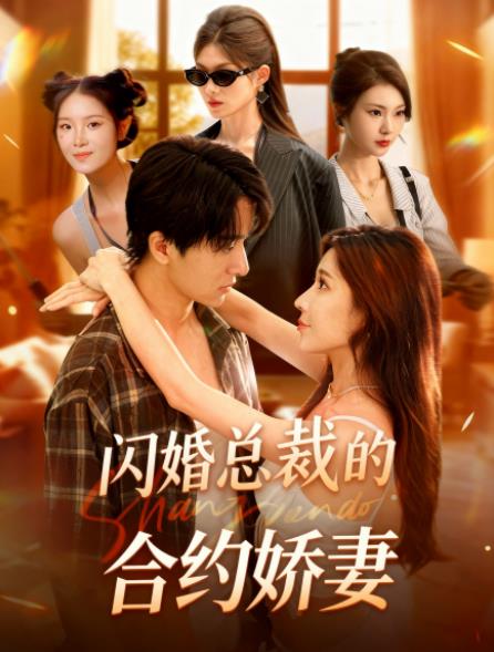 闪婚总裁契约妻海报